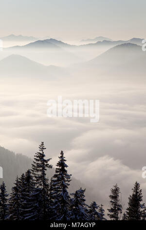 Vista del Wallberg sul Tegernseer montagne in Mangfallgebirge, Rottach-Egern, Alta Baviera, Baviera, Germania meridionale, Germania, Foto Stock