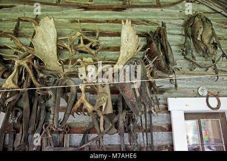 Nord America, USA, Alaska, Brooks Range, Wiseman, log cabin, Foto Stock