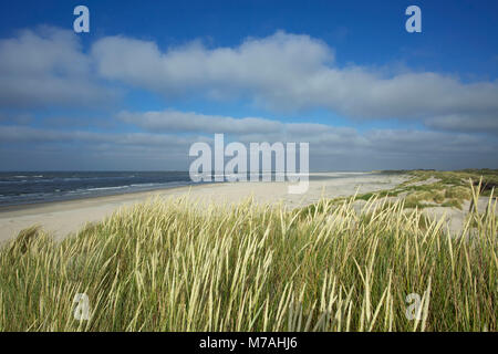 Vista sulle dune e sulla spiaggia dell'isola di Baltrum. Foto Stock
