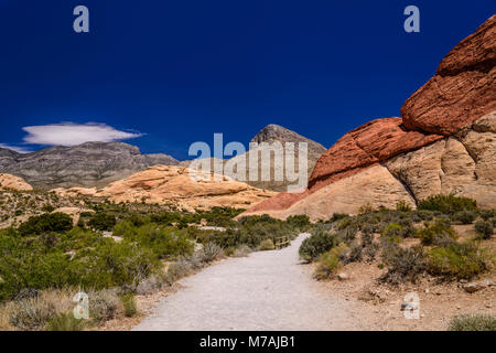 Gli Stati Uniti, Nevada, Clark County, Las Vegas Red Rock Canyon, cava di pietra arenaria verso la Madre le montagne con picco Turtlehead Foto Stock