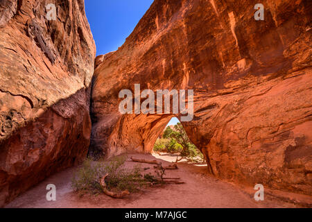 Gli Stati Uniti, Utah, Grand county, Moab, Arches National Park, Devils Garden, Navajo Arch Foto Stock