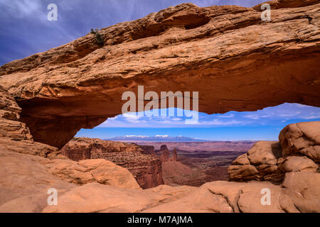 Gli Stati Uniti, Utah, la contea di San Juan, Moab, il Parco Nazionale di Canyonlands, Island in the Sky, Mesa Arch verso La Sal Mountains Foto Stock