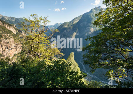 Vista della Val Bavona valley con vecchi alberi di quercia, Ticino, Svizzera Foto Stock