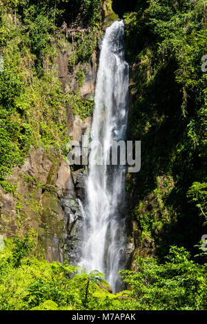 Trafalgar rientrano nel patrimonio mondiale dell'Unesco Parco nazionale Morne Trois Pitons, Dominica, dei Caraibi Foto Stock