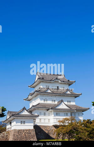 Giappone, Honshu, nella prefettura di Kanagawa, Odawara, Odawara Castello, la torre del castello Foto Stock