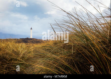 Lyngvig Fyr nelle dune Foto Stock