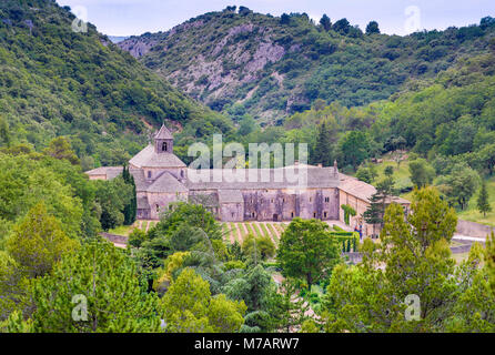 Francia, regione della Provenza, Gordes Città, Senanque Abbazia, Foto Stock