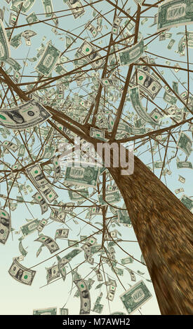 Basso angolo di visione del denaro che cresce su un albero Foto Stock