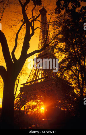 Silhouette di alberi di fronte a una torre, Torre Eiffel, Parigi, Francia Foto Stock