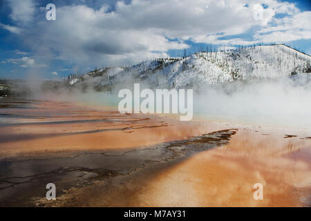 Vapore che fuoriesce da una primavera calda, Grand Prismatic Spring, il Parco Nazionale di Yellowstone, Wyoming USA Foto Stock