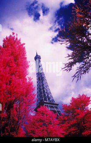 Alberi di fronte a una torre, Torre Eiffel, Parigi, Francia Foto Stock