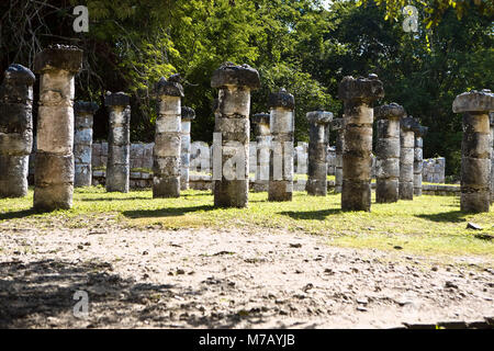 Le antiche rovine di colonne su un paesaggio, Plaza del mille colonne, Chichen Itza, Yucatan, Messico Foto Stock