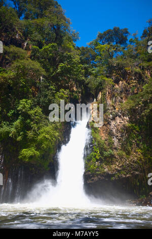 Cascata in una foresta, Tzararacua cascata, Uruapan, Michoacan stato, Messico Foto Stock