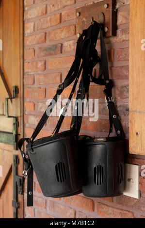 Close-up di halters per pony Foto Stock