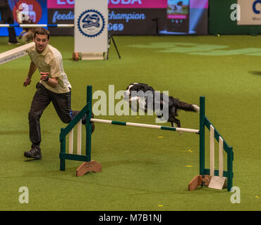 Birmingham, Regno Unito. 9 Mar, 2018. Il Crufts Dog Show Birmingham Regno Unito agilità cani concorrenza nei principali arena in questo anno il Crufts Dog Show a Birminghams NEC. Credito: charlie bryan/Alamy Live News Foto Stock