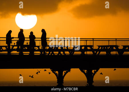 Aberystwyth Wales UK, Sabato 10 Marzo 2018 UK Meteo: il tramonto su Cardigan Bay sagome di persone in piedi alla fine di Aberystwyth il molo sul mare, come gli storni volare intorno a loro e sotto i loro piedi alcune decine di migliaia di uccelli sono ' appollaiati jostle per lo spazio sul traliccio di ghisa travi uno dei pochi posatoi urbano nel Regno Unito, Aberystwyth pier birdwatcher offre un opportunità unica per ottenere 'Chiudi' per questi uccelli che, sebbene abbondante in Aberystwyth , sono sul RSPB's 'red' elenco delle specie in pericolo le creature foto © Keith Morris / Alamy Live News Foto Stock