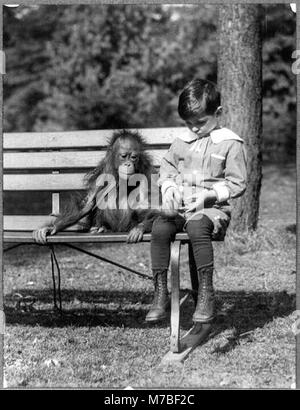 Ragazzo seduto con Orango Tango su banco presso lo Zoo Nazionale di Washington, D.C. LCCN2001697395 Foto Stock