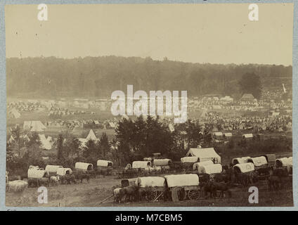 Accampamento di esercito del Potomac in Cumberland atterraggio sul fiume Pamunkey, Virginia, maggio 1862 LCCN2012648016 Foto Stock