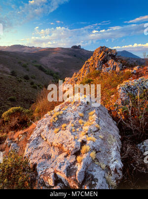 Le formazioni rocciose, colline costiere, Monte Tamalpais, Monte Tamalpais State Park, Golden Gate National Recreation Area, Marin County, California Foto Stock