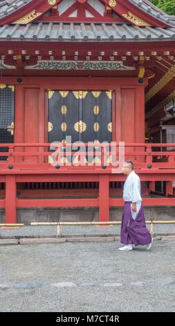 Vestiti in maniera colorata lo Shintoismo giapponese sacerdote a piedi nella parte anteriore del bel rosso, bianco e oro Tsurugaoka Hachimangū edificio santuario a Kamakura in Giappone. Foto Stock