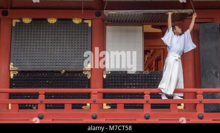 Lo Shintoismo sacerdote vestito di vesti bianche permanente sulla Tsurugaoka Hachimangū santuario della ringhiera la chiusura di grandi finestre in legno in preparazione della chiusura. Foto Stock