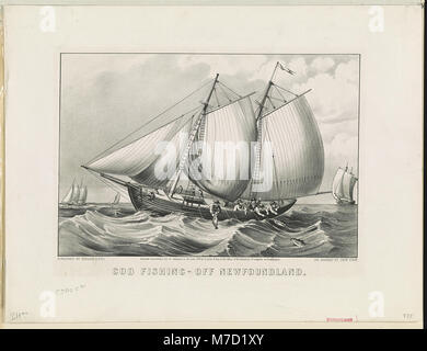 Una fotografia che documenta la pesca del merluzzo al largo della costa di Terranova. Parte della collezione Library of Congress (LCCN90716175). Foto Stock
