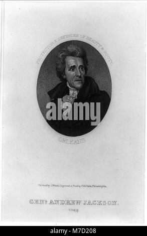 Genl. Andrew Jackson, 1828. Protettore e difensore della bellezza & bottino, Orleans LCCN2003656574 Foto Stock