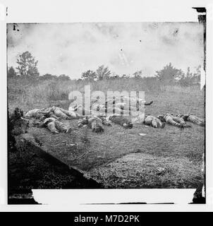 Gettysburg, Pennsylvania. (Morto confederato, vista guardando verso il frutteto sul Rose farm, Luglio 5, 1863) cwpb LOC.00889 Foto Stock