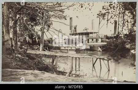 Casa bianca sbarco, Fiume Pamunkey LCCN2012649517 Foto Stock