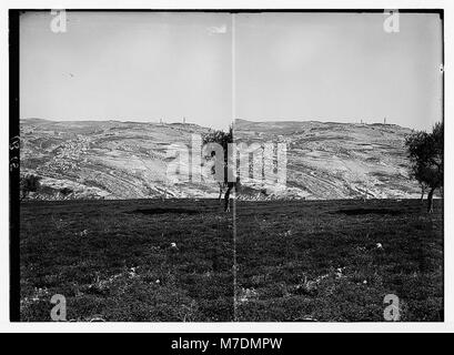 Mount of Olives, Betania, ecc. Mount of Olives e Siloe da sud matpc LOC.05480 Foto Stock