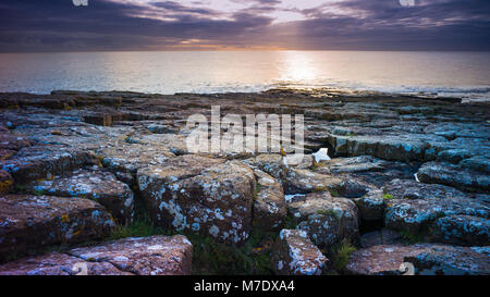 Il Northumberland rocciosa costa poco dopo l'alba. Foto Stock