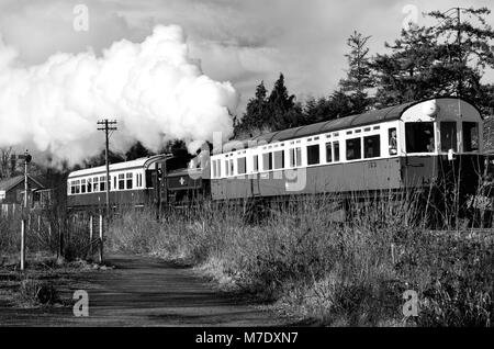 GWR serbatoio a corsoio n. 6412 con partenza da Staverton sulla South Devon Railway e autotreno diretto a Totnes., 17th febbraio 2018. Foto Stock