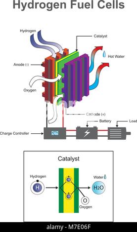 L'idrogeno è un elemento chimico con simbolo chimico H e numero atomico 1. Info sul vettore grafico. Illustrazione Vettoriale