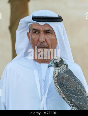 Emirati uomo in abito tradizionale ponendo una cappa su una saker falcon uccello caccia al Sheikh Zayed Heritage Festival 2017 ad Abu Dhabi Foto Stock