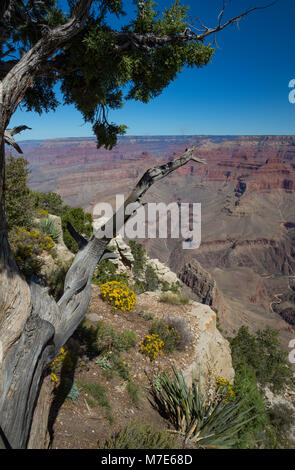 Pima Point, del Grand Canyon South Rim, Arizona, Stati Uniti d'America Foto Stock