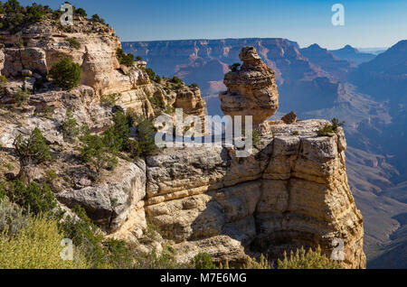 Duck su una formazione rocciosa a Duck su una roccia Viewpoint, Grand Canyon, Arizona, Stati Uniti d'America Foto Stock