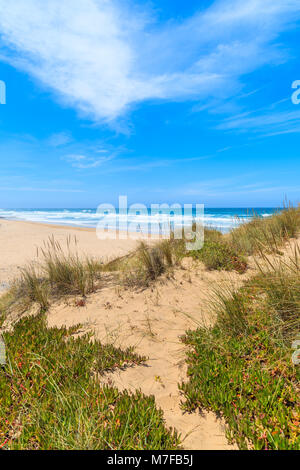 Una vista di Castelejo sabbiosa spiaggia di dune di sabbia, luogo famoso per il surf, la regione di Algarve, PORTOGALLO Foto Stock