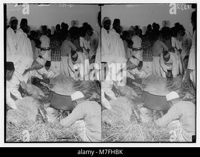 Il Samaritano Pasqua su Mt. Garizim. Il sacrificio. LOC matpc.01853 Foto Stock