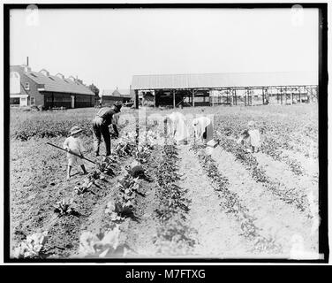 Una fotografia di un progetto della War Garden Commission, che sottolinea il suo ruolo durante la prima guerra mondiale nel promuovere l'autosufficienza attraverso il giardinaggio domestico per sostenere lo sforzo bellico. Foto Stock
