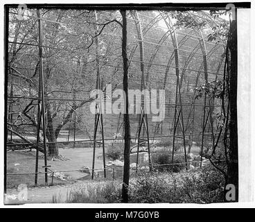 Una fotografia che raffigura un parco zoologico, che mostra gli animali nei loro recinti, che cattura un momento da un parco pubblico o da uno zoo. Foto Stock
