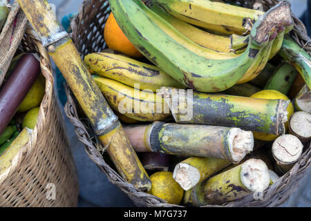 Oaxaca, Oaxaca, Messico - i membri delle comunità indigene di tutto lo stato di Oaxaca visualizzati alimenti che cresce durante la DÃ-a Internacional de l Foto Stock