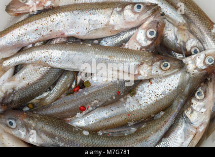 Profumava di fresco per la frittura con spezie. Piccoli pesci. Messa a fuoco selettiva Foto Stock