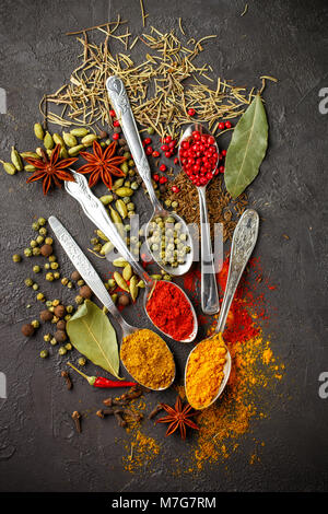 Varietà di spezie naturali, spezie e erbe aromatiche in cucchiai sul tavolo di pietra - la paprica, curry, coriandolo, cardamomo, curcuma, rosmarino, sale e pepe, Foto Stock