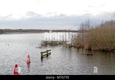 Una vista del Ranworth vasta Riserva naturale su Norfolk Broads a Ranworth, Norfolk, Inghilterra, Regno Unito, Europa. Foto Stock