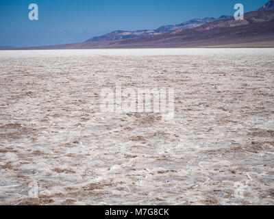 Distesa di sale al bacino Badwater al Parco Nazionale della Valle della Morte, con 282 piedi (86 m) sotto il livello del mare nel punto più basso negli Stati Uniti. Foto Stock