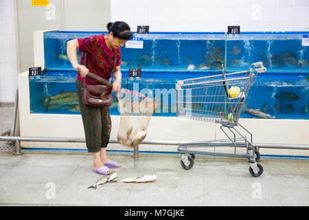 Una donna sceglie da pesci vivi in serbatoi per la vendita in Wal-Mart, nella città di Nanning, Guangxi, a sud ovest della Cina. Foto Stock