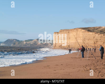 Dog walker catturati dalla marea Foto Stock