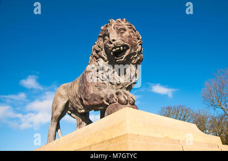 Lion statua nei giardini italiani il Parco Stanley Blackpool Lancashire England Regno Unito Foto Stock