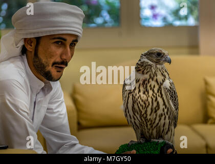 Abu Dhabi, Emirati Arabi Uniti - 11 gen 2018. Belli uccelli appoggio sul braccio di falconer posa per i visiters della Falcon in ospedale di Abu Dhabi Foto Stock