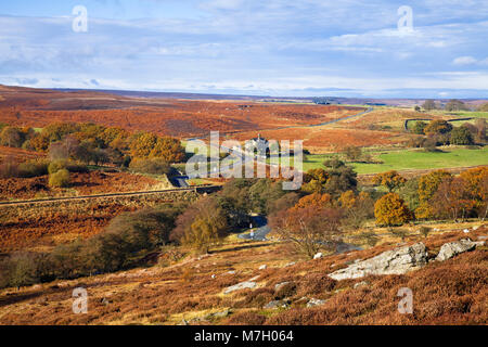 Goathland Moor North York Moors North Yorkshire Foto Stock